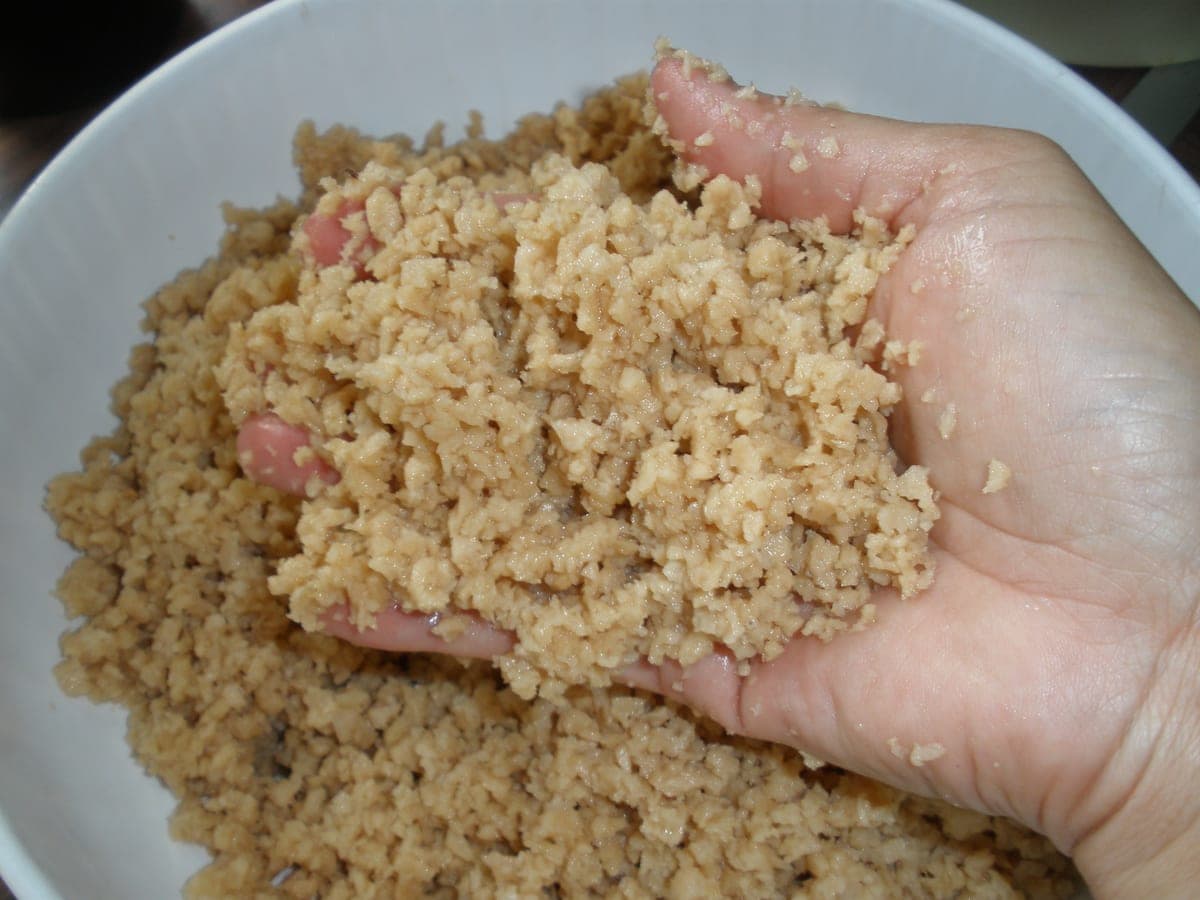 Carne de soya casera texturizada y sazonada, lista para usar como sustituto de carne