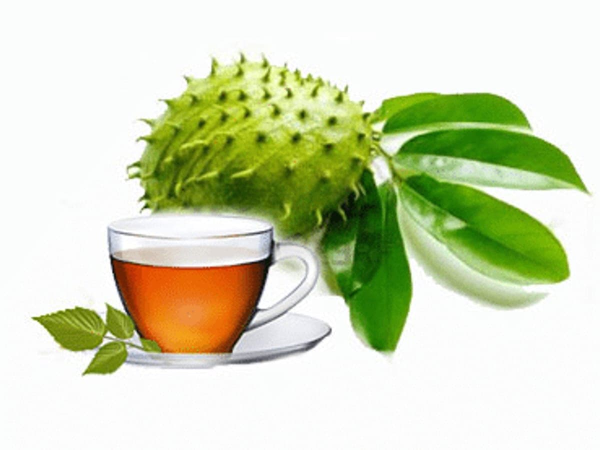 Taza de infusión de hojas de guanábana junto a hojas verdes frescas