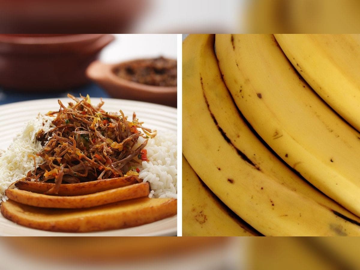 Pabellón veguero servido con pisillo de chigüire, arroz blanco, tajadas y queso llanero rallado
